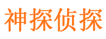 天元市私人侦探